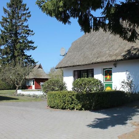 Вилла Ferienhaus Ilva In Борн Экстерьер фото